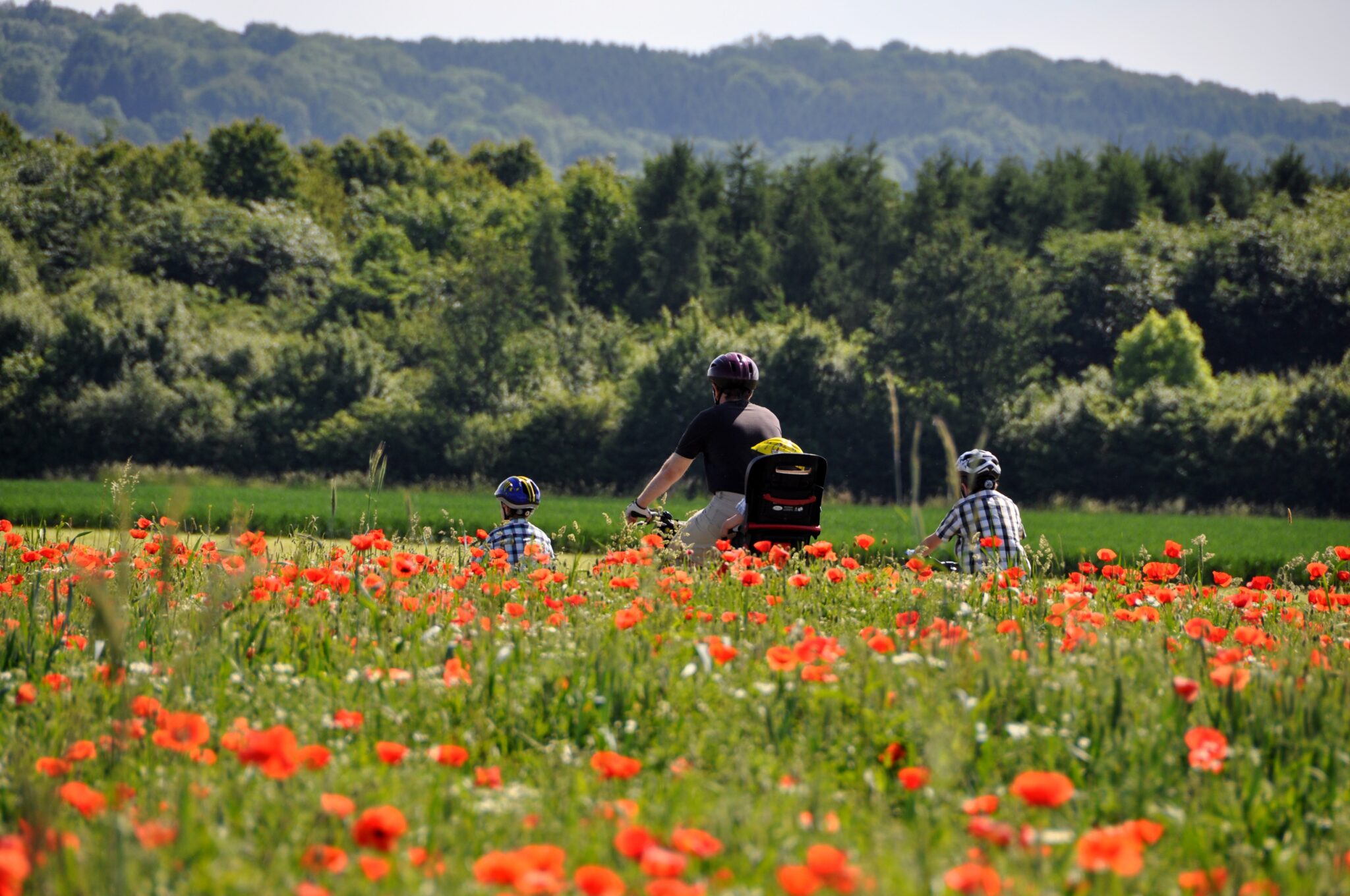 Radweg Sieg-Foto Naturregion Sieg